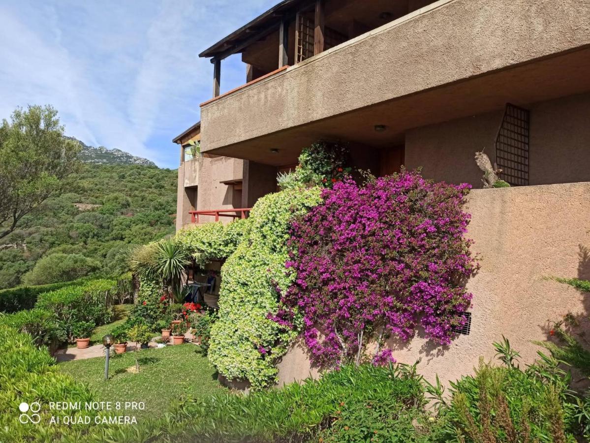 Cugnana Mare Resort Exterior photo